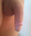 flaccid cocks 552955eaee115.jpg