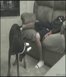 Hot boys and Gif posts 57ed7ae132b7c.gif