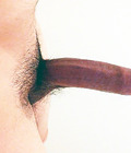 Penis Perfection 05 55407afa613f0.jpg