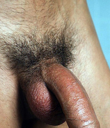 Boys Up Close 01 559775f1e4157.jpg