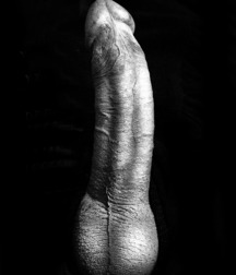 Hard Hard Hardons 143 563eba7bee200.jpg