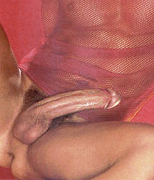Erotica 491 565ec62616414.jpg