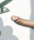 Penis Perfection 08 567c84265cd6a.jpg