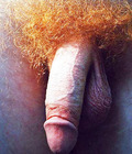 4JT 08 57284f8212f6c.jpg
