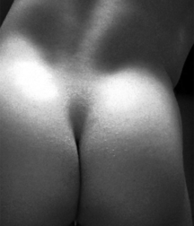 FantASStic 04 586767945a45c.png