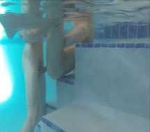 Gifs Galore 21 58abd2c1244d4.gif