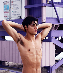 Nice Pits 01 58d0ea52b635f.jpg
