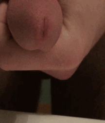 Gifs Galore 37 5934bc312a6d3.gif