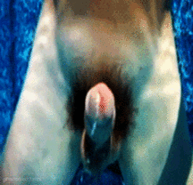GIFs Galore 57 59d5db46db7dc.gif