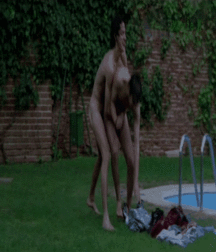 GIFs Galore 69 5a7533aa4f3b8.gif
