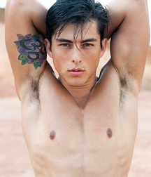 Nice Pits 17 5a9f924c0d5f2.jpg