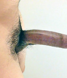 Penis Perfection 24 5b3014b6b7ea7.jpg