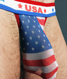 Stars & Stripes 5b3d01bc4039a.png