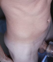 GIFs Galore 83 5b4ade3228c77.gif