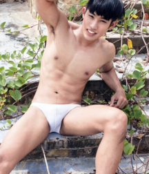 Packages 117 5ba56ca1ea57e.png