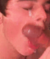 GIFs Galore 90 5bb90d87d56cc.gif