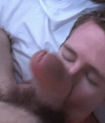 GIFs Galore 93 5c154c5c407d8.gif