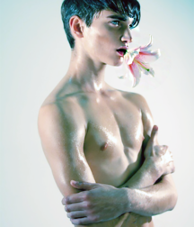 The Boy Next Door 75 5c527e267d4f3.png