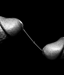 B&W Boys 49 5c71078c85e77.jpg