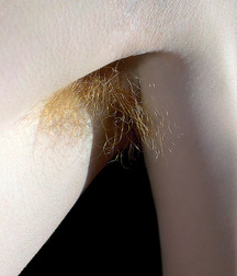 Pits & Ass 02 5c779a74ef1a6.jpg