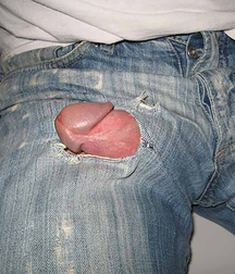4 JT 36 5d16df02dbba4.jpg