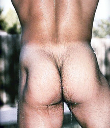 Pits & Ass 05 5d2055e6d5a4b.jpg