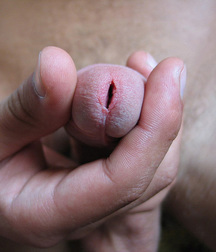 Pits & Slits 01 5d4623f0ce750.jpg