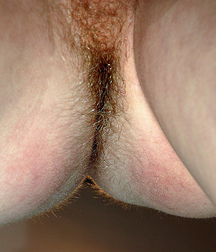 Close 01 5e9d49acba497.jpg