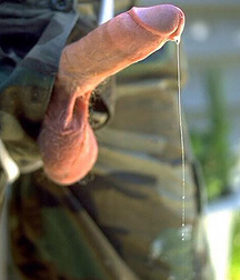 Cocks 02 5e9d4a61a1654.jpg