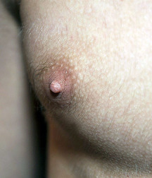 Nips 01 5ea65840c25ab.jpg