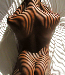 Stripes 04 5ec609a6d4a13.jpg
