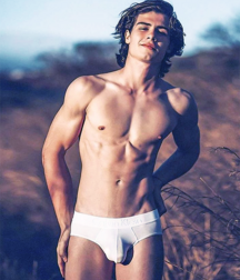VPL 02 5f039e3b8c33a.png