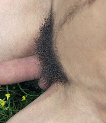 Bush 10 5f222ce67bbad.jpg