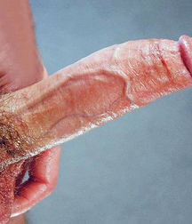 Cock 03 5f4b651e97696.jpg