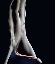 Cock 03 5f4b6526b53e0.jpg
