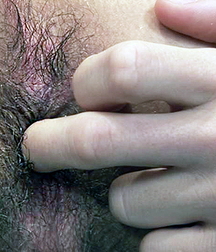 Close 02 5f719fbc78e62.jpg