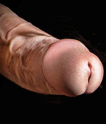 Tips & Slits 11 5f9fc4d4f1c89.jpg