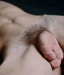 Sean Ford 24 5fbb544ed3312.jpg