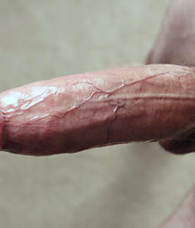 Penis Perfection 33 624bef737dd13.jpg