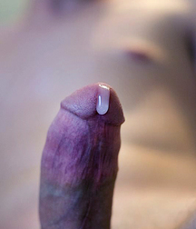 Nips & Tips 03 62f0b29593b17.jpg