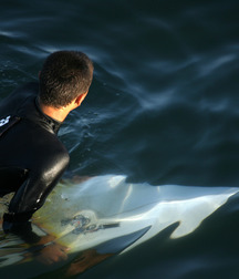 Boys I WOULDN'T say NO to  5ddcfeb8744b7.jpg