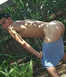 perfekt butts
