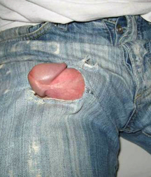 Cocks and more cocks 57379addaf5df.jpg