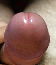 Lube Your Tube Boys 573a4fa1d98ad.jpg