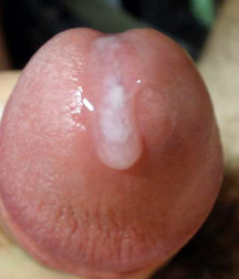 Lube Your Tube Boys 573a4fb971ab6.jpg
