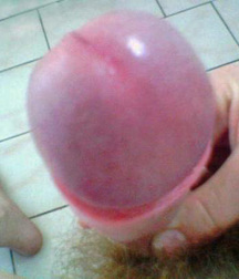 Lube Your Tube Boys 573a503985ef1.jpg