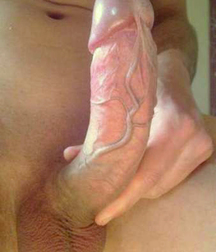 Big, Bad Cocks 573e2cc79a0ee.jpg
