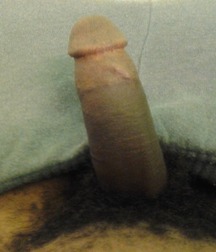 Guys from My Home Town 55c63e364d2c3.jpg
