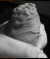 click on the gif. to see more TWINK GIF. 5cc5bd9004546.gif