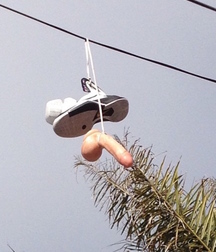 Weird and Wacky 5e8914ac7d2ac.jpg